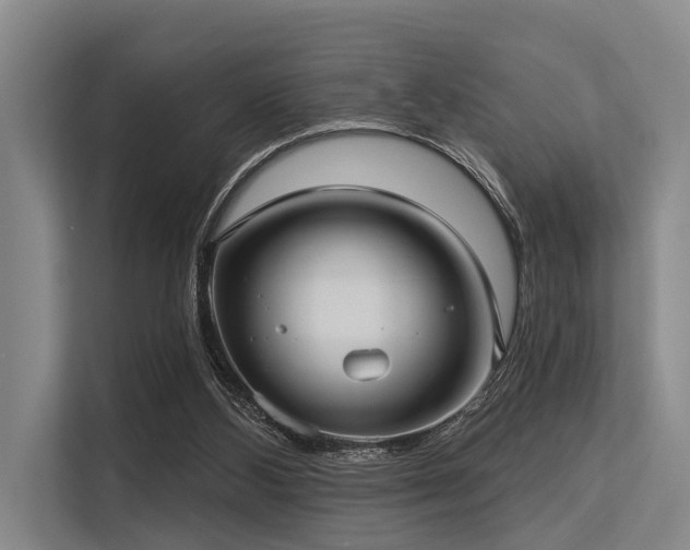 X0000113550108200909181207