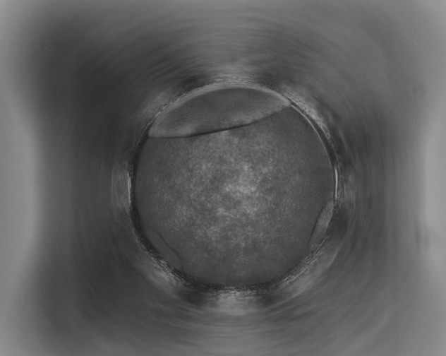 X0000113550109200909181207