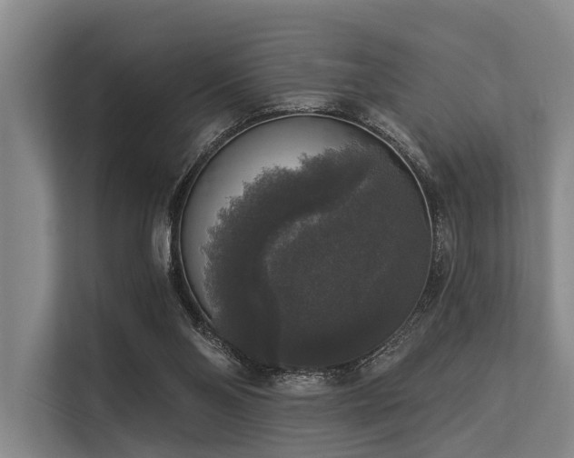 X0000113550110200909181207