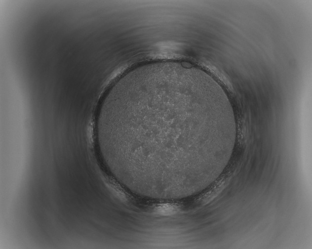 X0000113550111200909181207