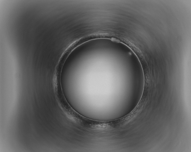 X0000113550112200909181207