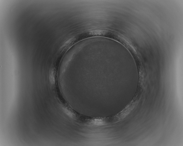 X0000113550114200909181207