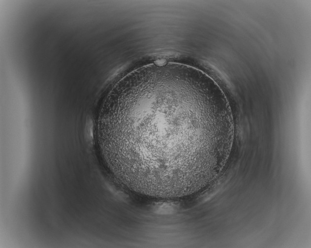 X0000113550115200909181207