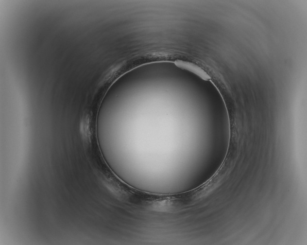 X0000113550116200909181207