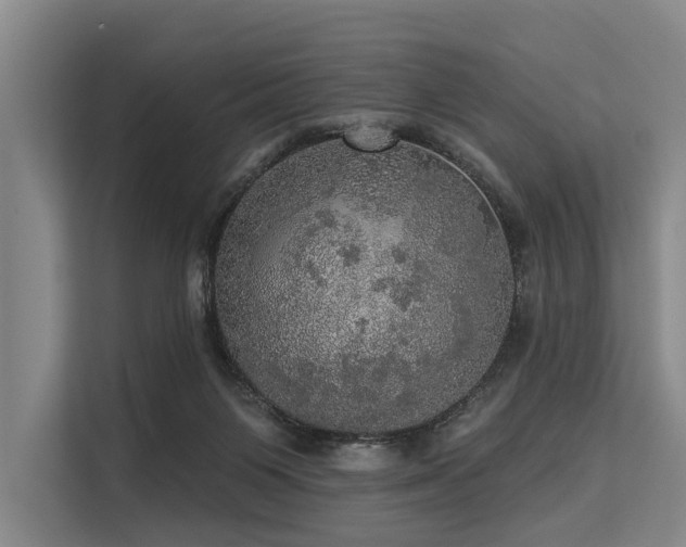 X0000113550119200909181207