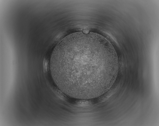 X0000113550123200909181207