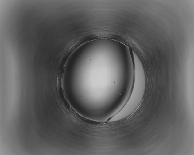 X0000113550124200909181207