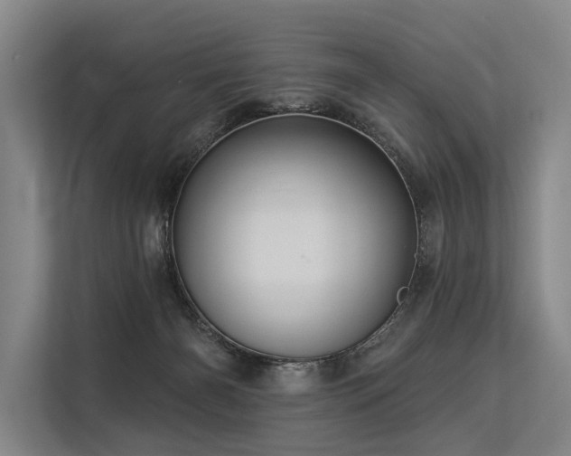 X0000113550126200909181207