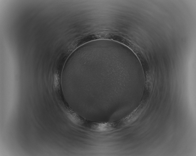 X0000113550130200909181207