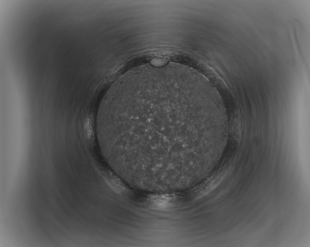 X0000113550131200909181207