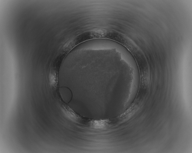 X0000113550134200909181207