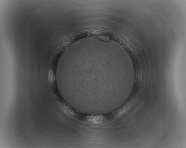 X0000113550135200909181207