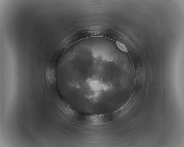 X0000113550136200909181207