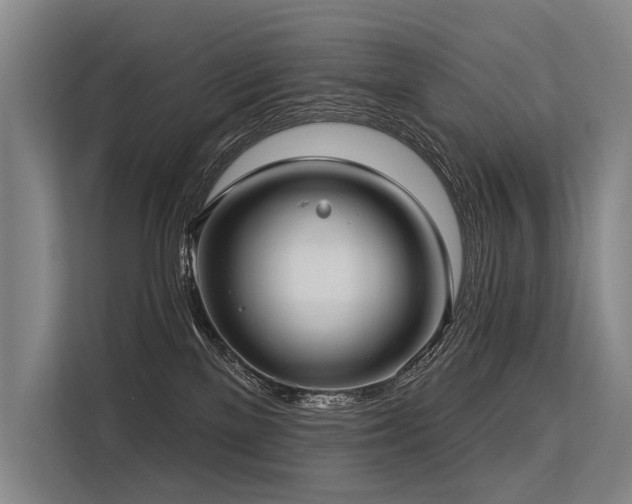 X0000113550137200909181207