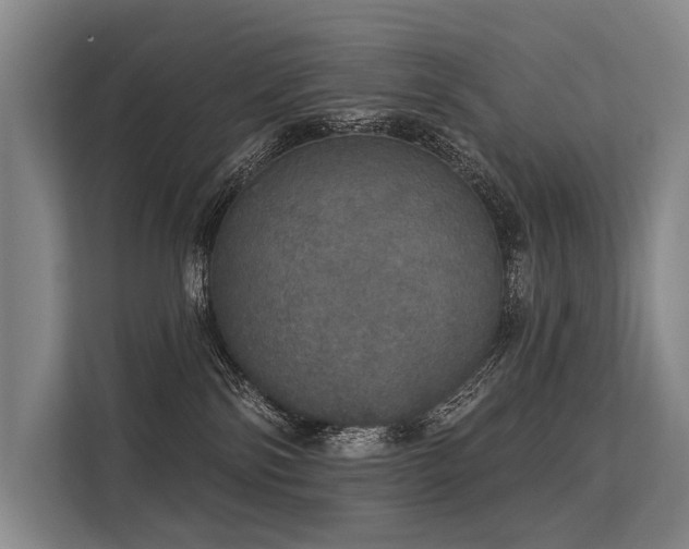 X0000113550138200909181207