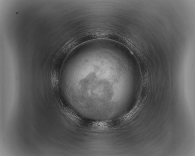 X0000113550140200909181207