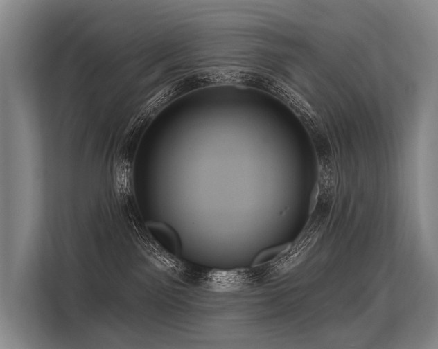 X0000113550141200909181207