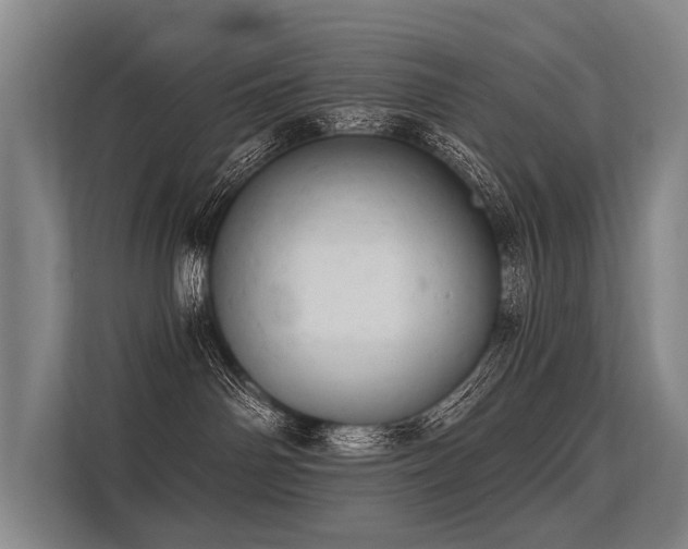 X0000113550142200909181207