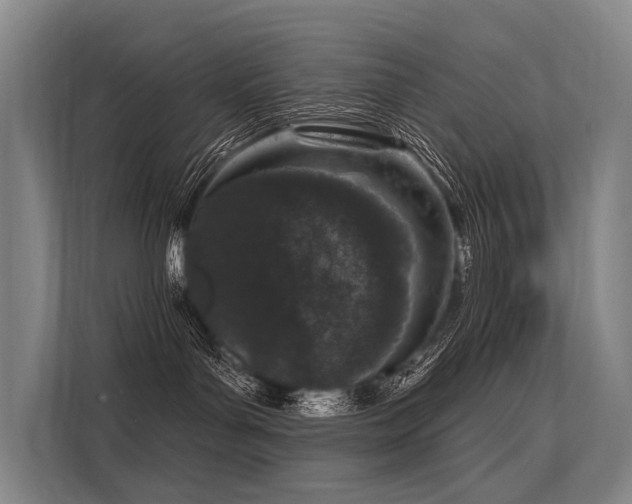 X0000113550143200909181207