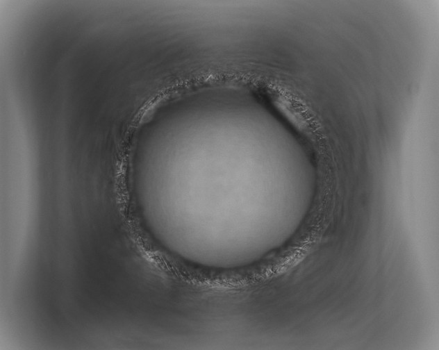 X0000113550144200909181207