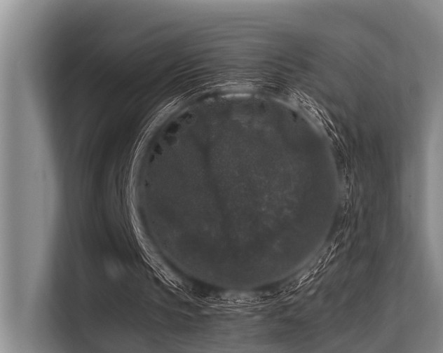 X0000113550145200909181206