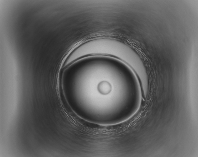 X0000113550148200909181206