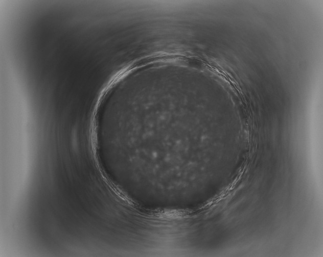 X0000113550149200909181206