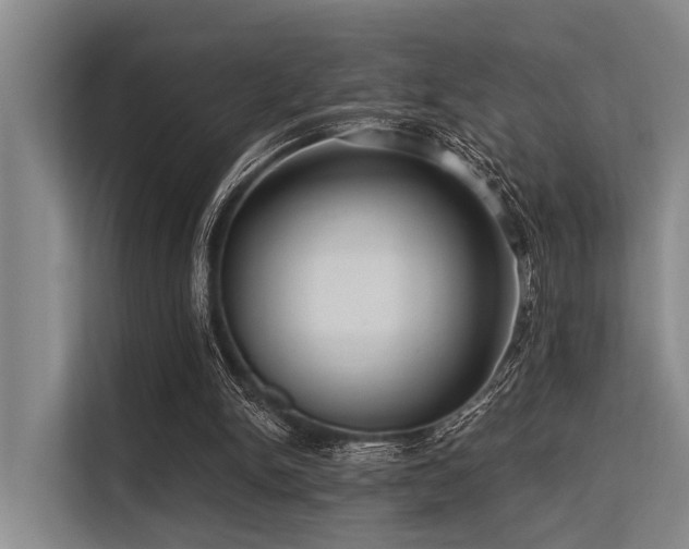 X0000113550150200909181206