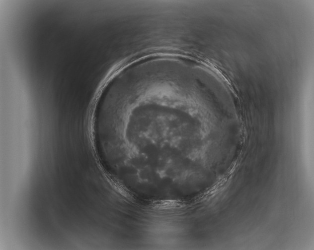 X0000113550151200909181206