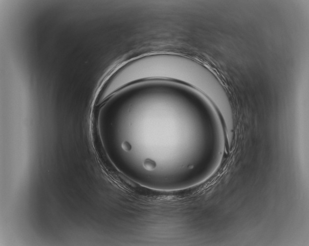 X0000113550152200909181206