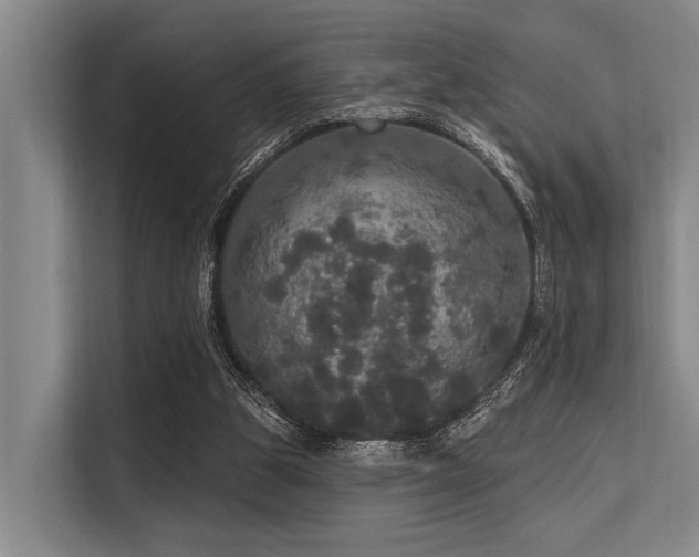 X0000113550153200909181206