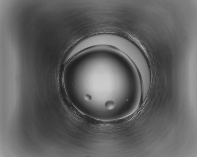 X0000113550154200909181206