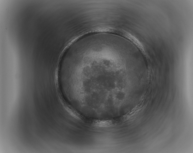 X0000113550155200909181206