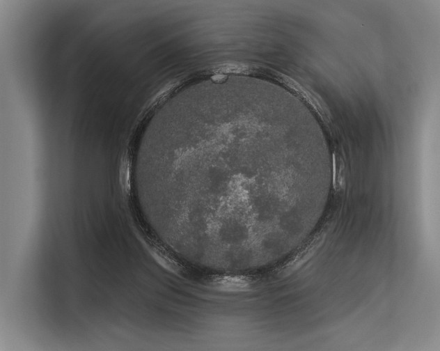 X0000113550157200909181206