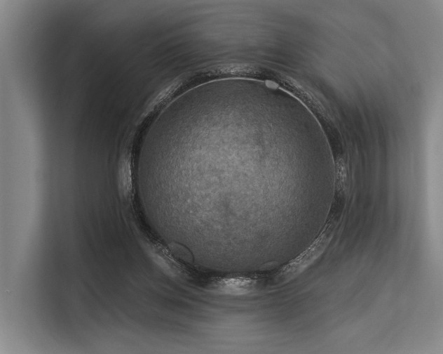 X0000113550158200909181206