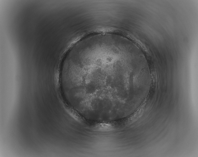 X0000113550159200909181206