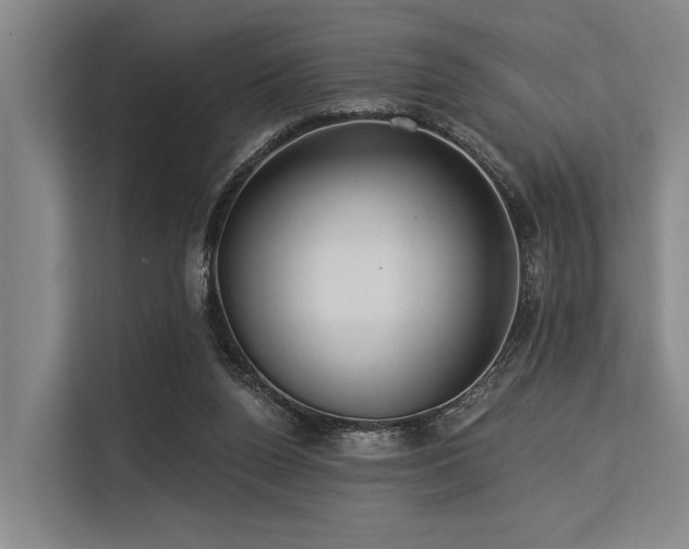 X0000113550160200909181206