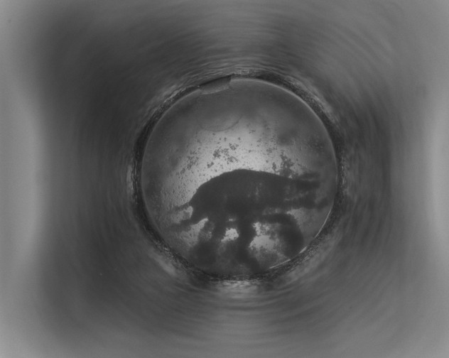 X0000113550161200909181206