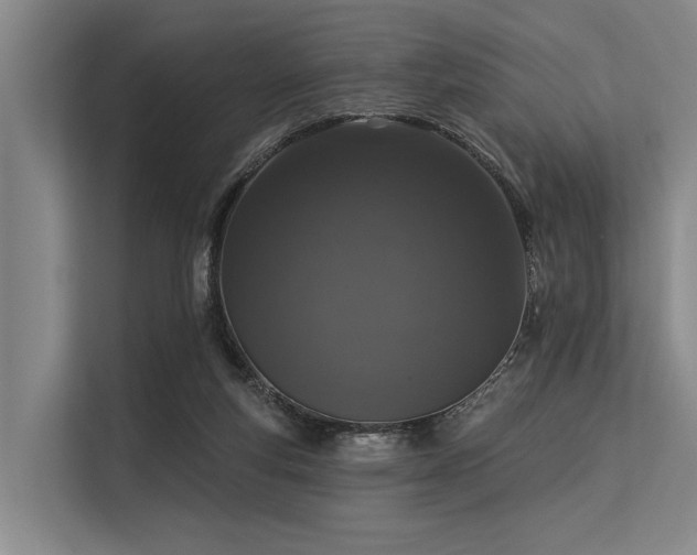 X0000113550163200909181206