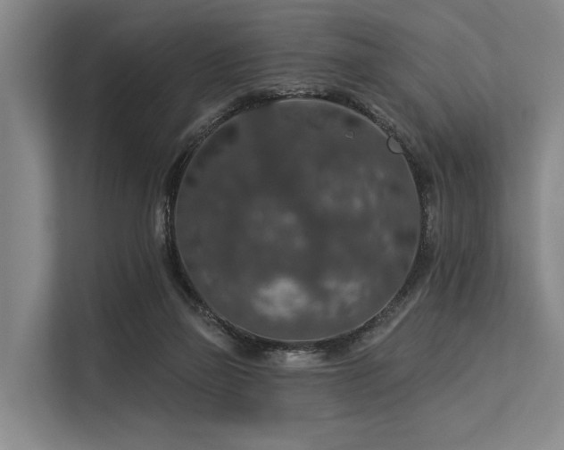 X0000113550165200909181206