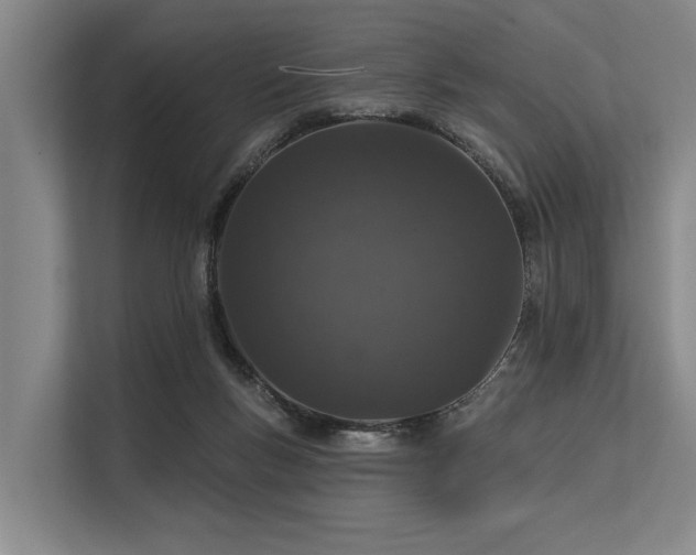 X0000113550167200909181206