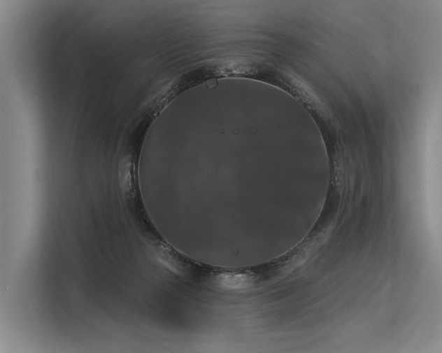 X0000113550169200909181207