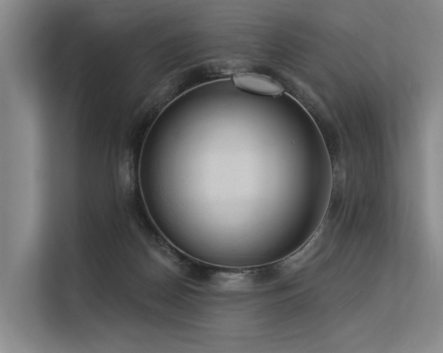 X0000113550170200909181207