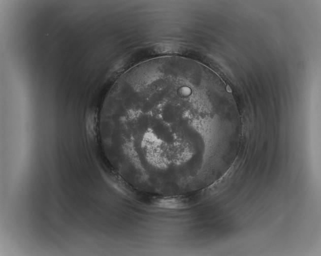 X0000113550171200909181207