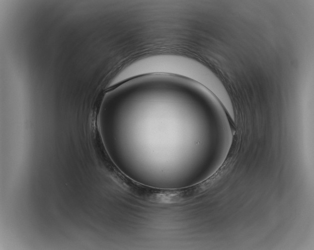 X0000113550172200909181207