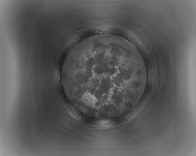 X0000113550173200909181207