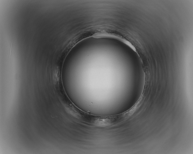 X0000113550174200909181207