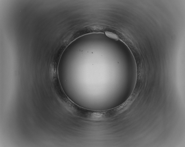 X0000113550176200909181207