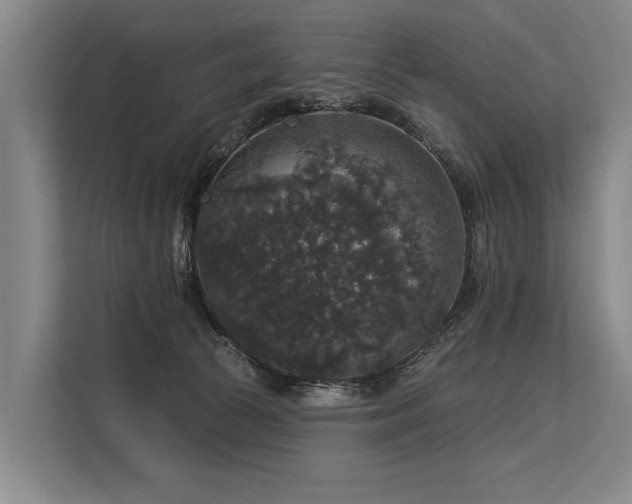 X0000113550177200909181207