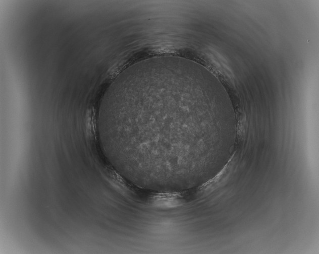 X0000113550179200909181207